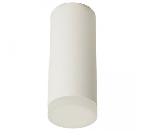 Накладной светильник Feron 51389 ML102