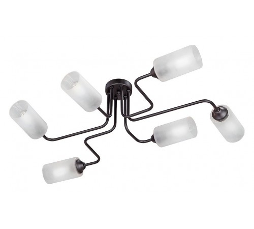 Потолочная люстра Vitaluce V4310-1/6PL 4310