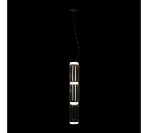 Подвесной светильник Loft it 10194/L Noctambule