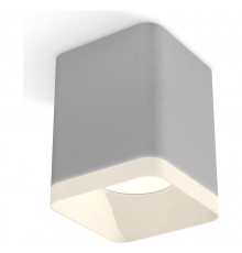 Накладной светильник Ambrella Light XS7814010 XS