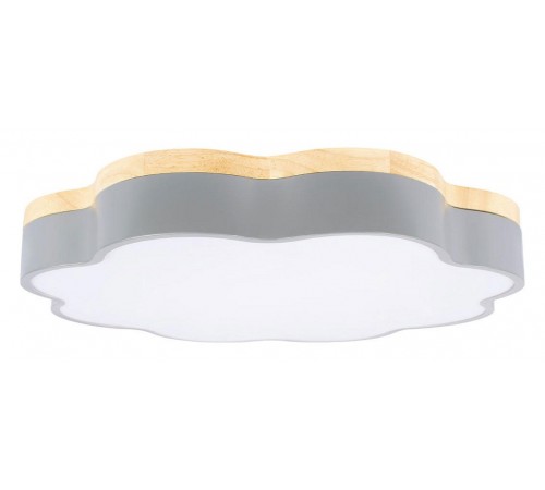 Накладной светильник Loft it 10225/36 Grey Axel