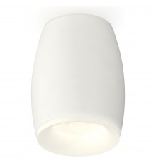 Накладной светильник Ambrella Light XS1122021 XS