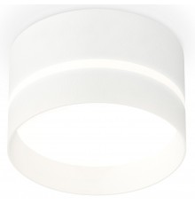 Накладной светильник Ambrella Light XS8101020 XS