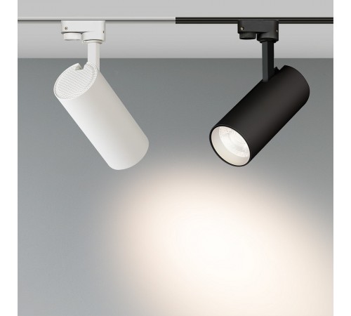 Светильник на штанге Arlight 025910(1) GERA