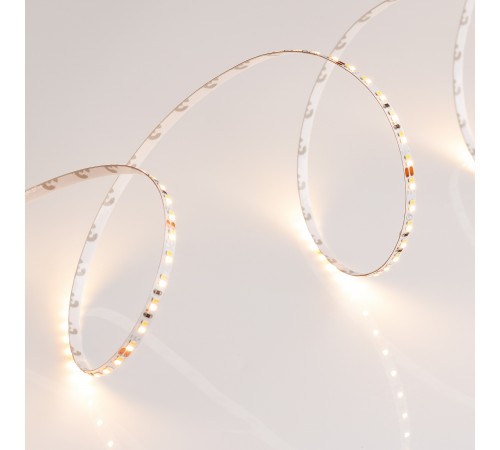 Лента светодиодная Arlight 024506(2) MICROLED