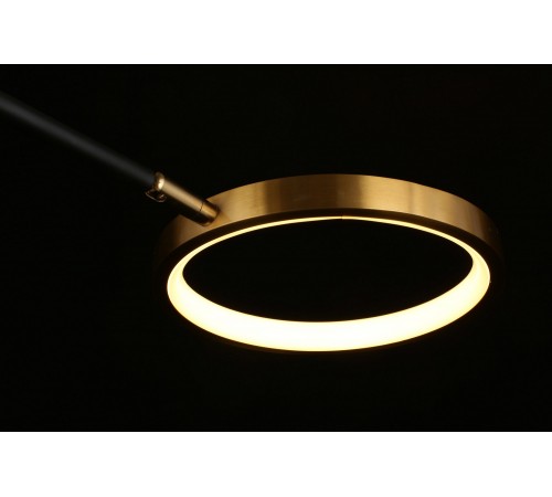 Потолочная люстра Aployt APL.043.07.65 Ines