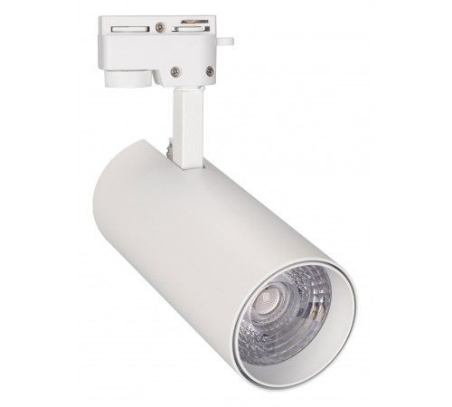 Светильник на штанге Arlight 025910(1) GERA