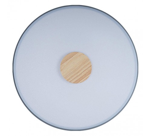 Накладной светильник Loft it 10003/24 Grey Axel 2