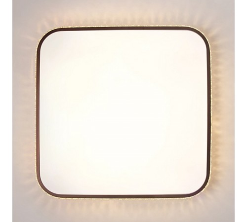 Накладной светильник Ambrella Light FF76 FF