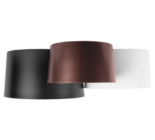 Потолочная люстра Loft it 10360/3 Duo