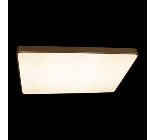 Накладной светильник Loft it 10228/E Flims