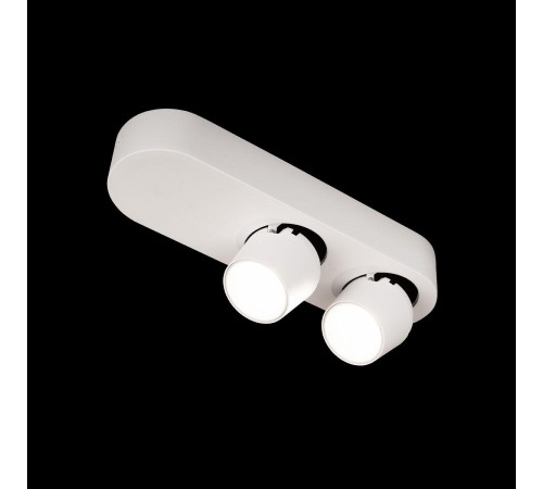 Накладной светильник Loft it 10320/2 White Quiet