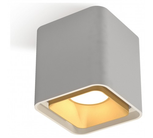 Накладной светильник Ambrella Light XS7840004 XS