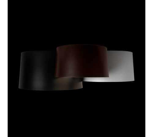 Потолочная люстра Loft it 10360/3 Duo