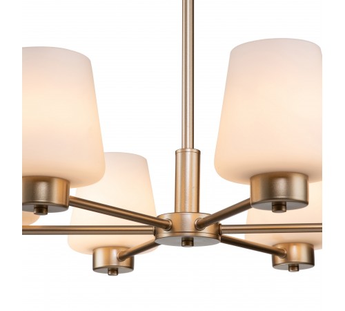 Подвесная люстра Indigo 13004/6P Gold Tulip