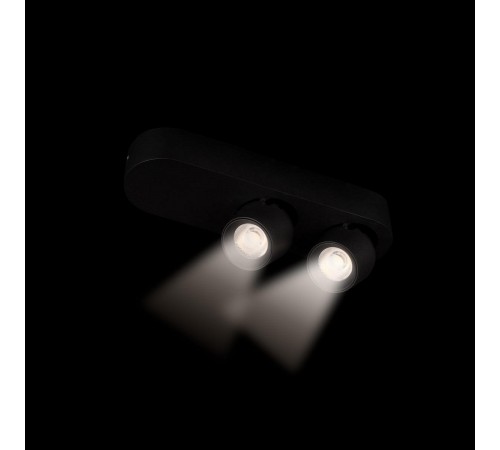 Накладной светильник Loft it 10320/2 Black Quiet