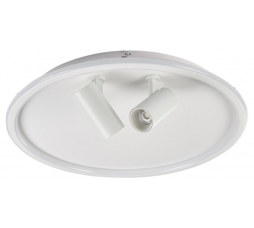 Накладной светильник MyFar MR9050-CL Focus