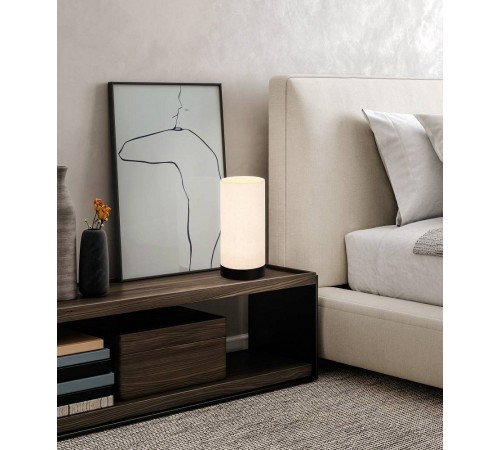 Настольная лампа декоративная Eglo 900861 Feniglia