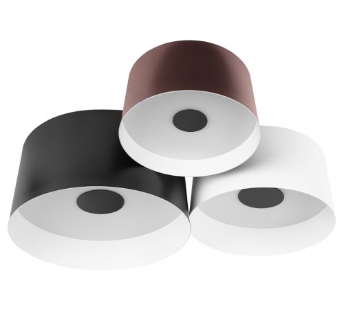 Потолочная люстра Loft it 10360/3 Duo