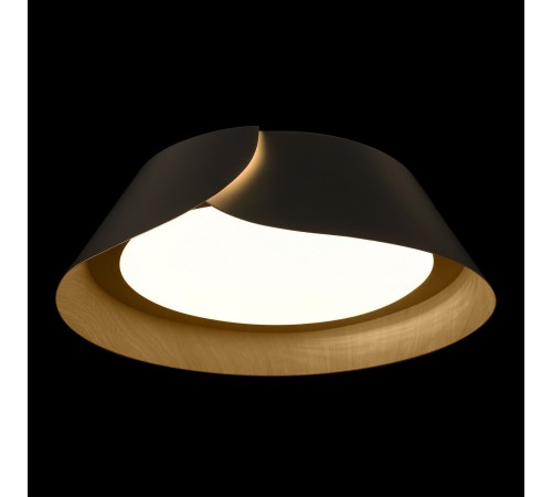 Накладной светильник Loft it 10370 Black Lane