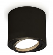 Накладной светильник Ambrella Light XS7402001 XS