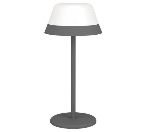 Настольная лампа декоративная Eglo 900978 MEGGIANO