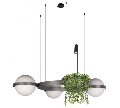 Подвесная люстра Loft it 10121/3 Dark grey Jardin