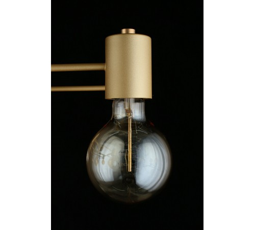 Потолочная люстра Aployt APL.911.07.09 Elison