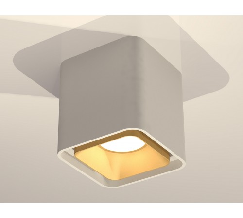 Накладной светильник Ambrella Light XS7840004 XS