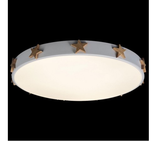 Накладной светильник Loft it 10006/36 White Axel 5