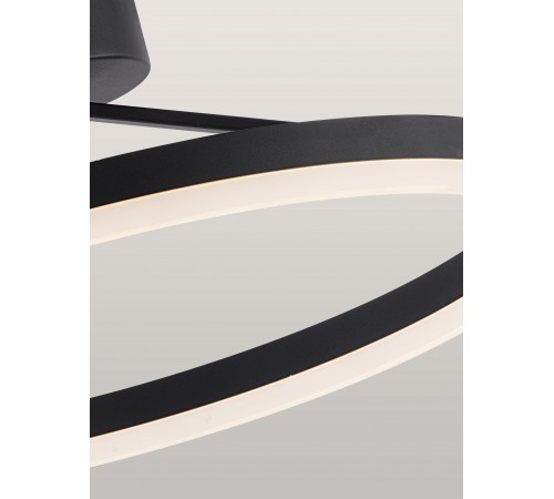 Светильник на штанге Natali Kovaltseva LED LAMPS 81121/2C FINAM