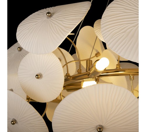 Подвесная люстра Loft it 10234/800 Paradise