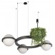 Подвесная люстра Loft it 10121/3 Dark grey Jardin
