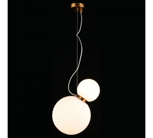 Подвесной светильник Aployt APL.301.06.02 Patunia