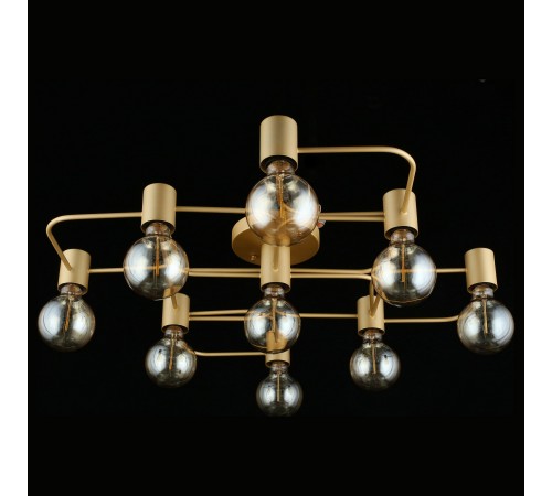 Потолочная люстра Aployt APL.911.07.09 Elison