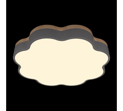 Накладной светильник Loft it 10225/36 Grey Axel