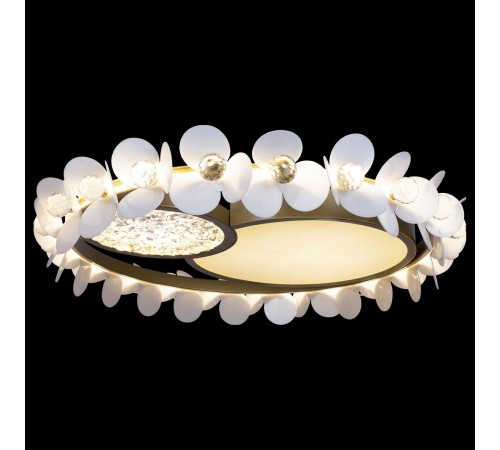 Накладной светильник Loft it 10174 Bride