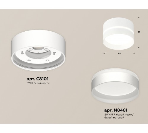 Накладной светильник Ambrella Light XS8101020 XS