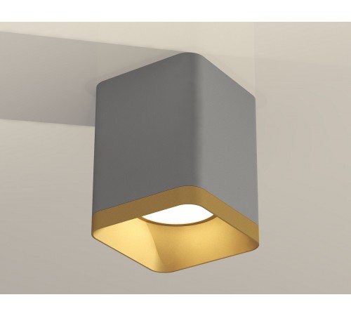 Накладной светильник Ambrella Light XS7814004 XS