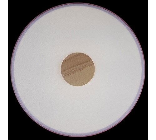 Накладной светильник Loft it 10003/24 Pink Axel 2