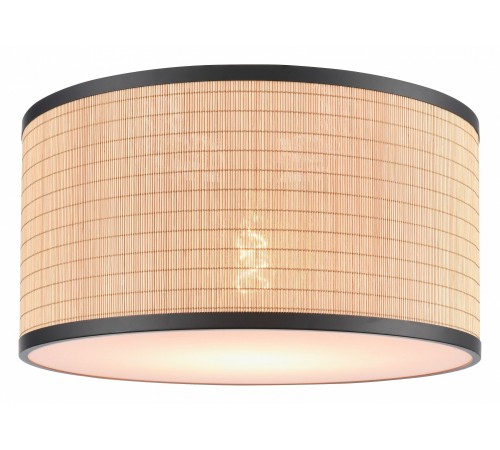 Накладной светильник Velante 568-717-01 568