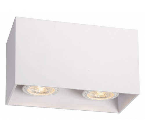 Накладной светильник Lucide 09101/02/31 Bodi