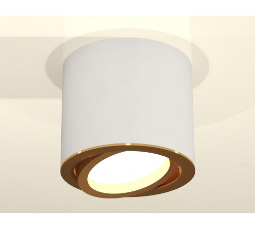 Накладной светильник Ambrella Light XS7401004 XS