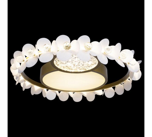 Накладной светильник Loft it 10174 Bride