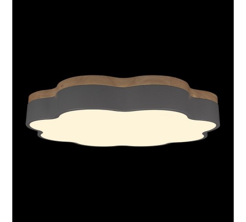 Накладной светильник Loft it 10225/36 Grey Axel