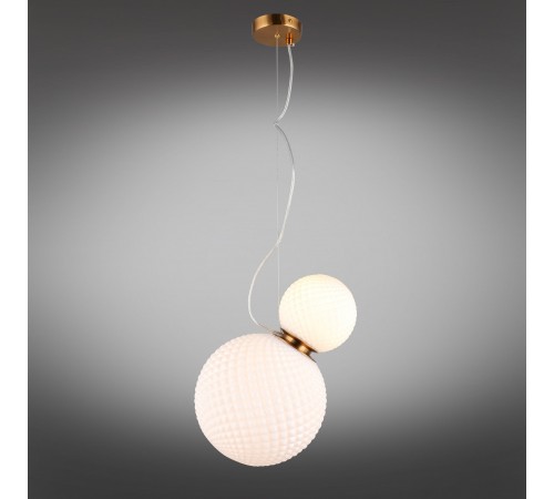 Подвесной светильник Aployt APL.301.06.02 Patunia