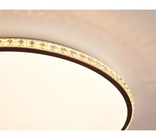 Накладной светильник Ambrella Light FF71 FF