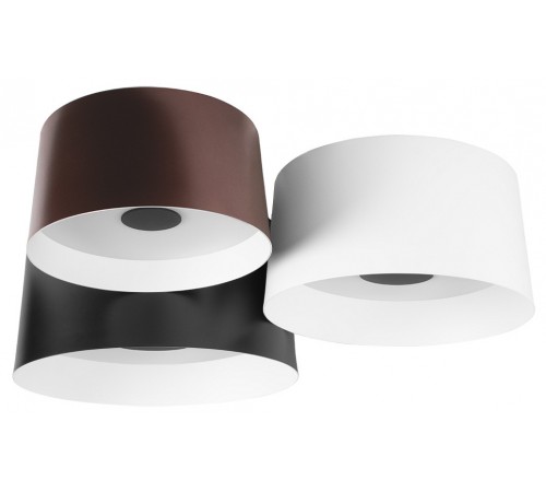 Потолочная люстра Loft it 10360/3 Duo