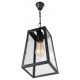 Подвесной светильник Loft it LOFT1127 Modern Filament