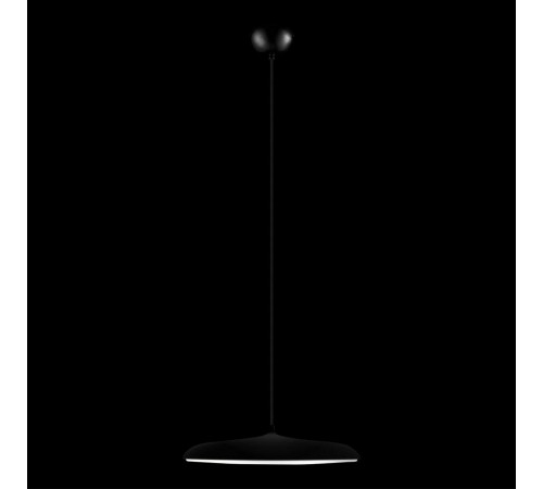 Подвесной светильник Loft it 10119 Black Plato